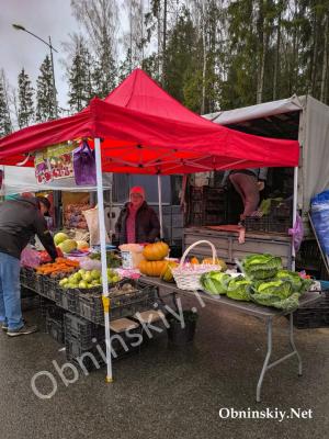 Сегодня в Обнинске проходит сельскохозяйственная ярмарка