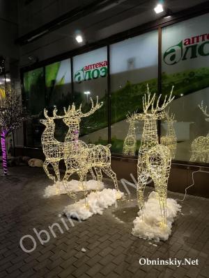 олени возле Экобазара