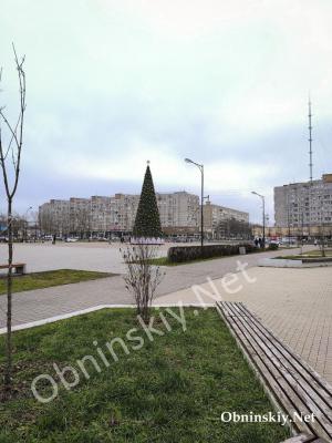 Новогодняя ёлка на фоне зелёной травы в Обнинске. 7 декабря 2025 года.