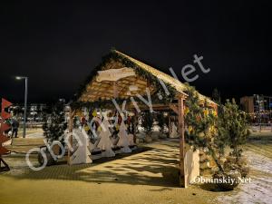 Ярмарка "Дуб и ёлка" в Обнинске