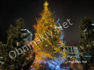 Ярмарка "Дуб и ёлка" в Обнинске