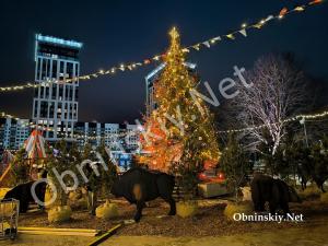 Ярмарка "Дуб и ёлка" в Обнинске