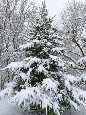 Снежный декабрь 2025 в Обнинске