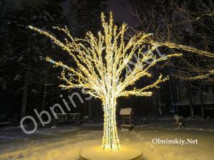 Городской парк. Обнинск