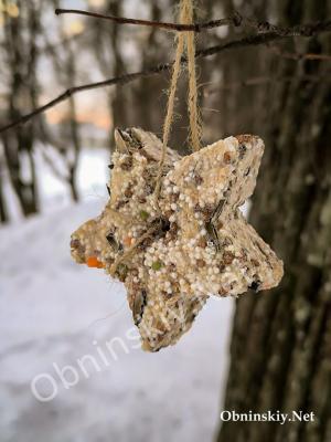 Съедобные кормушки в Белкинском парке
