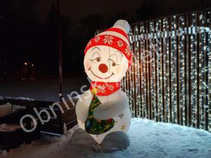 Снеговик в Городском парке