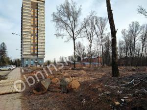 Вырубка леса по ул. Кутузова