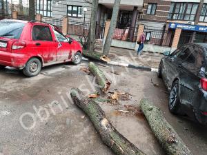 На ул. Аксёнова, трухлявое дерево помяло две машины