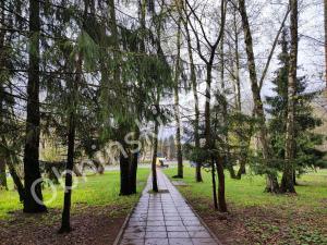 Парк на улице Мира в Обнинске