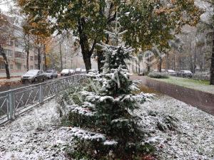 Первый снег в Обнинске