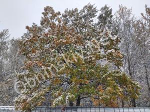 Первый снег в Обнинске