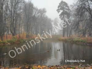 Уточки в Белкинском пруду