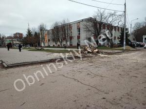 Очередное дерево спилили в городе