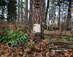 В Городском парке Обнинска