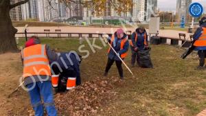 Уборка листы под Обнинским дубом