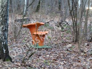 В Гурьяновском лесу фигурка грибов
