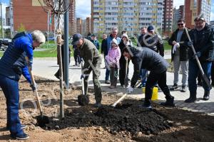 1000 новых деревьев для города