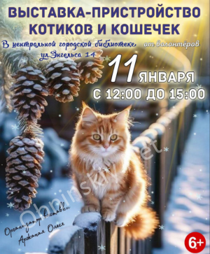 Выставка - пристройство котов, кошечек, котят!