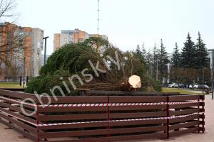 На главную площадь Обнинска привезли "живую" ёлку