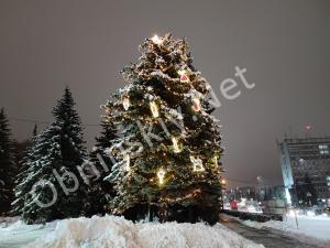 Живая новогодняя ёлка в Обнинске