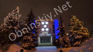 Живая новогодняя ёлка в Обнинске