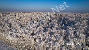 Деревья в снегу. Снежная зима 2026 года
