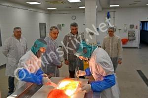 Под Обнинском: где рождается икра для вашего стола