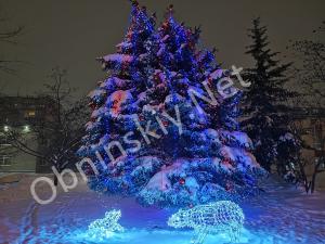 Живая новогодняя ёлка в Обнинске