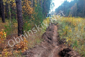 В Калужской области в этом году не было крупных лесных пожаров, лес не пострадал