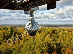 В Калужской области в этом году не было крупных лесных пожаров, лес не пострадал