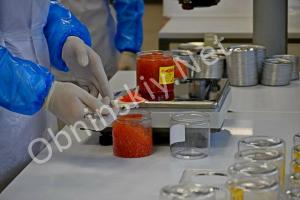 Под Обнинском: где рождается икра для вашего стола