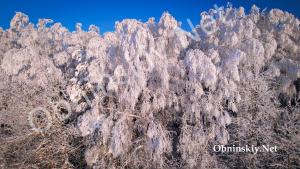 Деревья в снегу. Снежная зима 2026 года