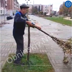 Найден школьник, сломавший дерево на Лейпунского в Обнинске