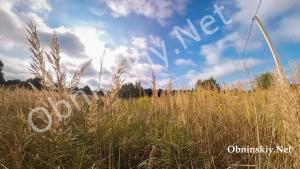 Проблемы с дорогами на поле для многодетных в селе Госсортоучасток