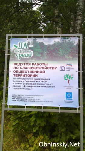 Благоустройство в Гурьяновском лесу