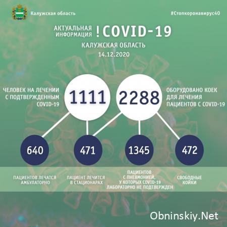 Количество заболевших коронавирусом в Калужской области 14.12.2020