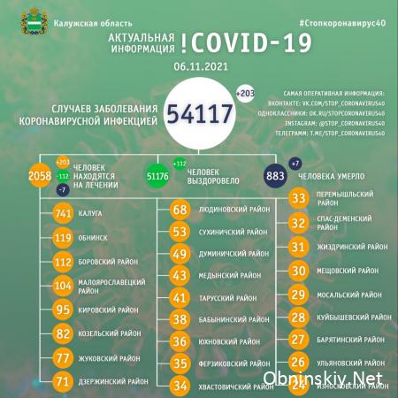 Количество заболевших коронавирусом в Калужской области 06.11.2021