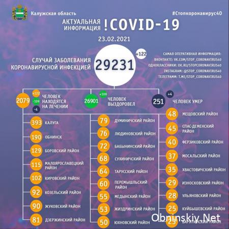 Количество заболевших коронавирусом в Калужской области 23.02.2021