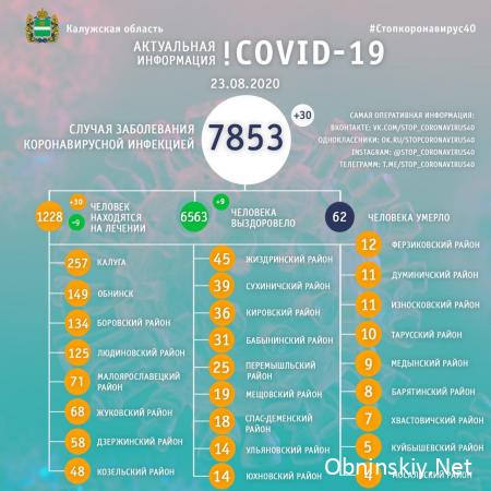 Количество заболевших коронавирусом в Калужской области 23.08.2020
