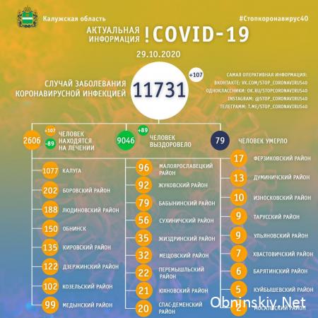Количество заболевших коронавирусом в Калужской области 29.10.2020
