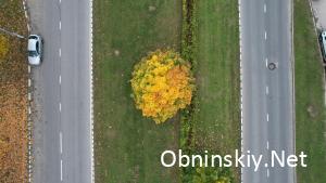 Осенний Обнинск в фотографиях