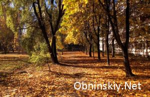 Осенний Обнинск, видео с квадрокоптера
