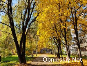 Осенние краски Обнинск