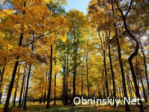 Осенние краски Обнинск