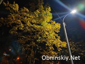 Осенний Обнинск в фотографиях