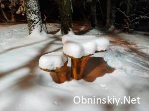 Снежный Обнинск