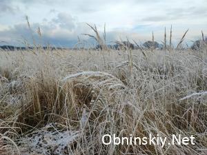 Изморозь под Обнинском. Фото автора 2023 года