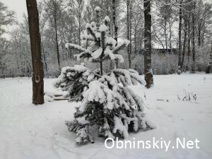 Зима в Старом парке