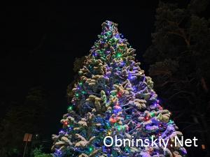 Новогодняя ёлка в городе Жукове.