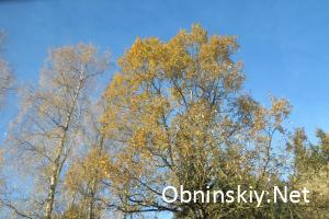 Осень в Обнинске